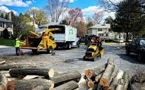 Best Seasonal Cleanup (Spring/Fall)  in Parma, ID