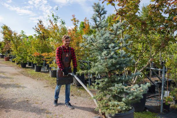 Best Arborist Consultation Services  in Parma, ID